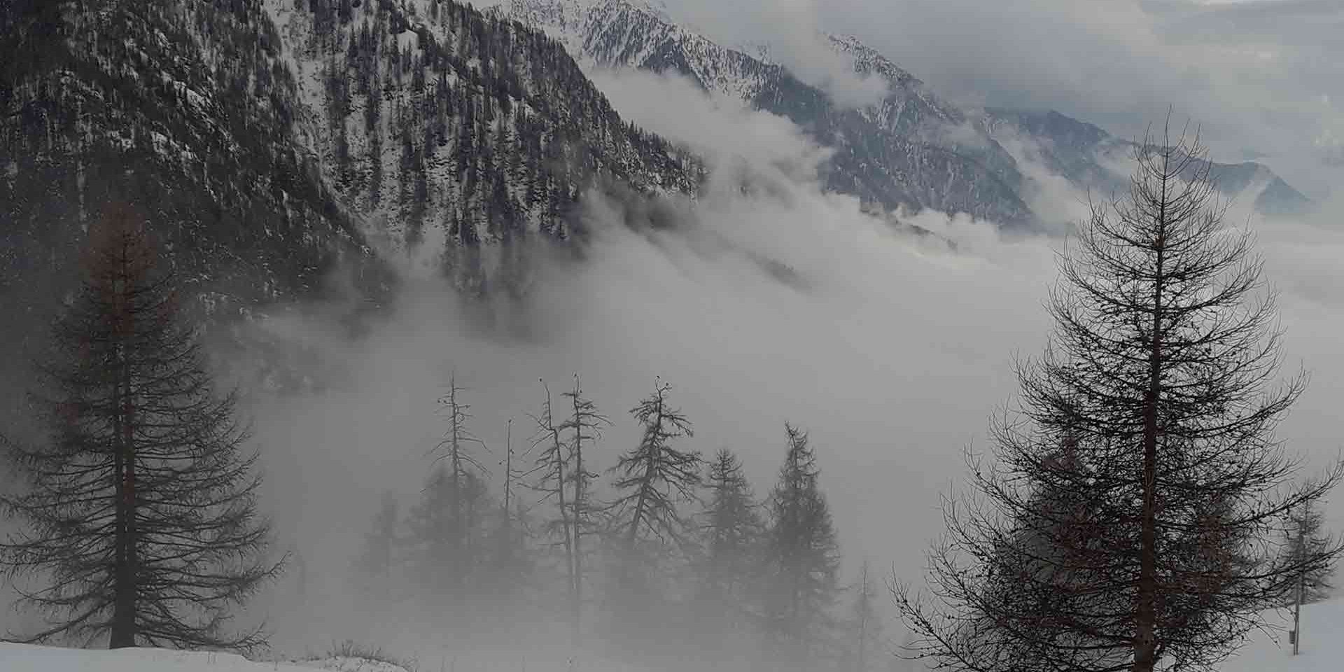 FURBI-SOTTO-LA-NEBBIA2