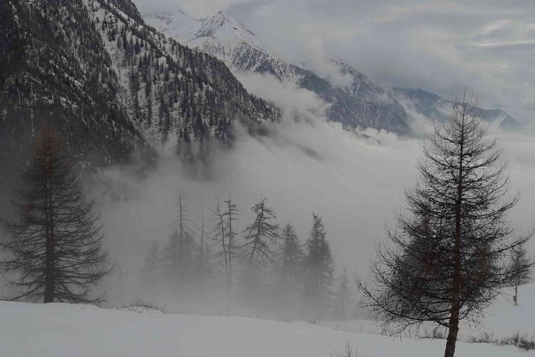 FURBI-SOTTO-LA-NEBBIA2