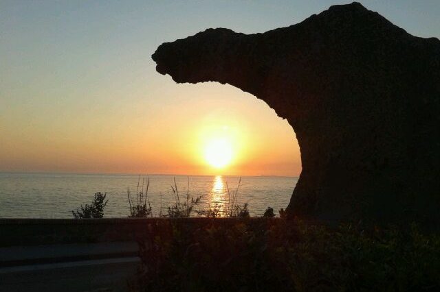 CHI VUOLE MANGIARE CARIGE