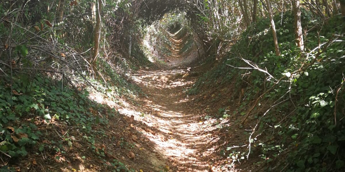 IMG-20191002-WA0001 (1)